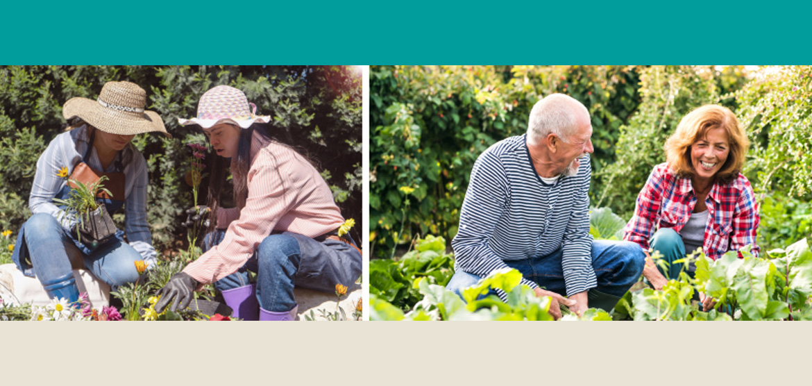 Landscape and Garden Design Essentials